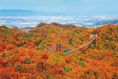 🌉 별의 그네 (호시노 부란코) 이미지 2